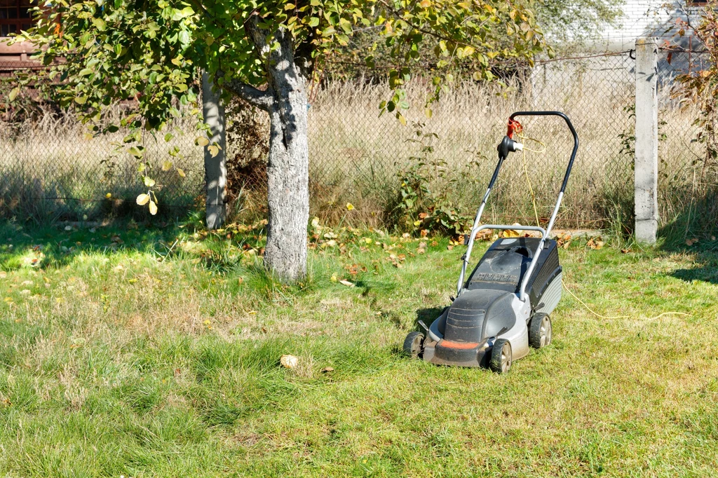 Dlaczego nie warto rezygnować z koszenia trawnika jesienią?