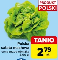 Sałata masłowa Polski