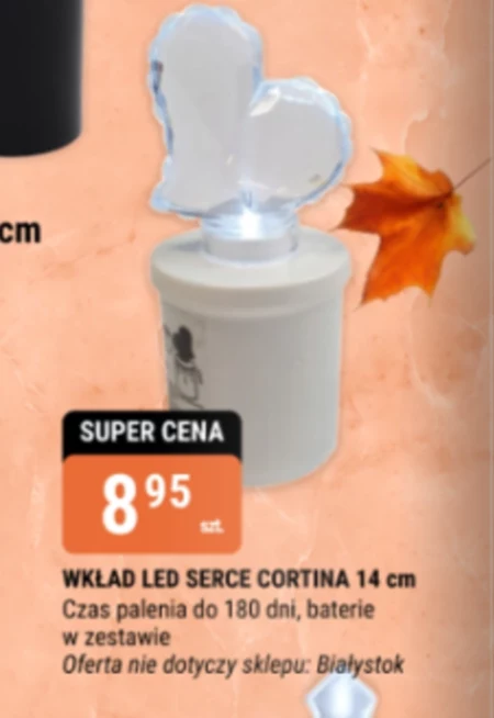 Wkład led do zniczy Cortina