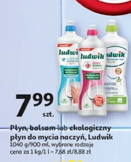 Płyn do naczyń Ludwik