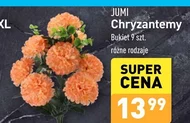 Chryzantema Jumi