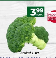 Brokuł