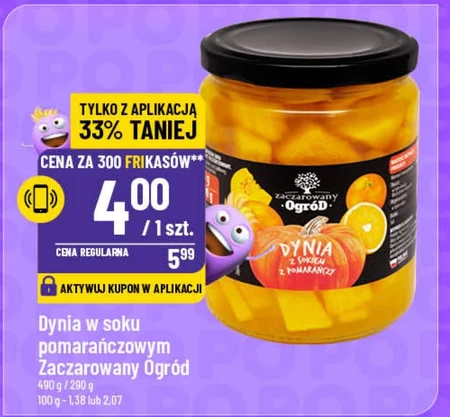 Dynia Zaczarowany Ogród