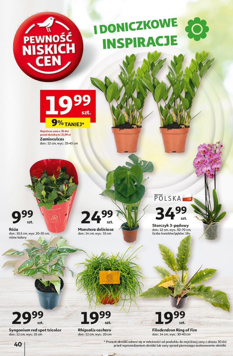 Gazetka: Mega okazje w Auchan Hipermarket  - strona 48