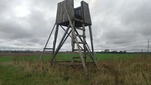 Wydawali lewe uprawnienia do polowań. Afera w Polskim Związku Łowieckim 