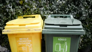 Zlikwidują jedne pojemniki, postawią inne. Zmiany w segregacji śmieci