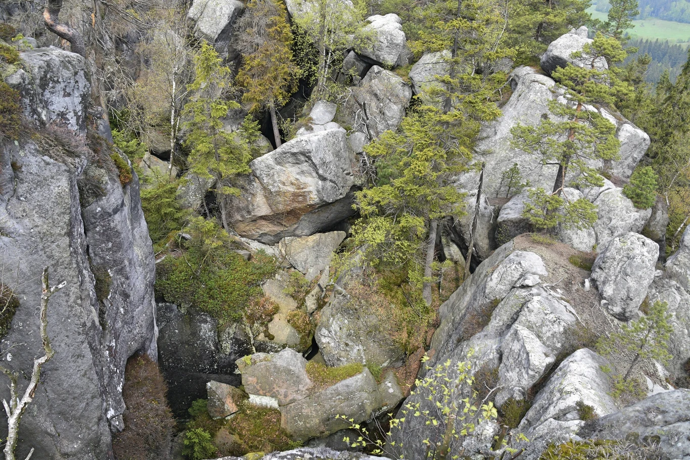 Szczeliniec Wielki w Sudetach Środkowych, w Górach Stołowych na Dolnym Śląsku.