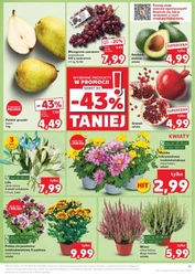 Oferta handlowa sieci Kaufland