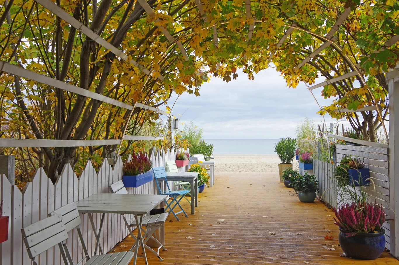 Sopot oferuje wyjątkowy klimat, bogatą ofertę leczniczą, a także wiele atrakcji turystycznych. 
