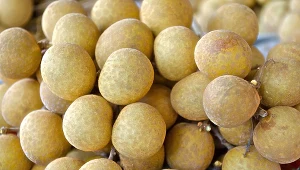 Longan nazywany jest "smoczym okiem". Wspiera odporność, jest dobry dla serca i stanowi dobry wybór, gdy zależy nam na utracie kilogramów