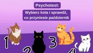 Co przyniesie październik? Sprawdź to w naszym psychoteście