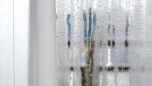 Połóż na parapecie. Zapomnisz o wilgoci i pleśni na oknach