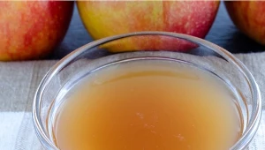 "Eliksir młodości" zrobisz samodzielnie w domu. Sylvester Stallone pije go regularnie