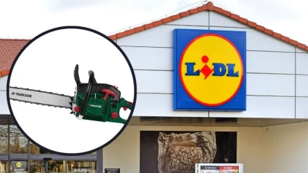 Pilarka łańcuchowa w niskiej cenie w Lidlu!