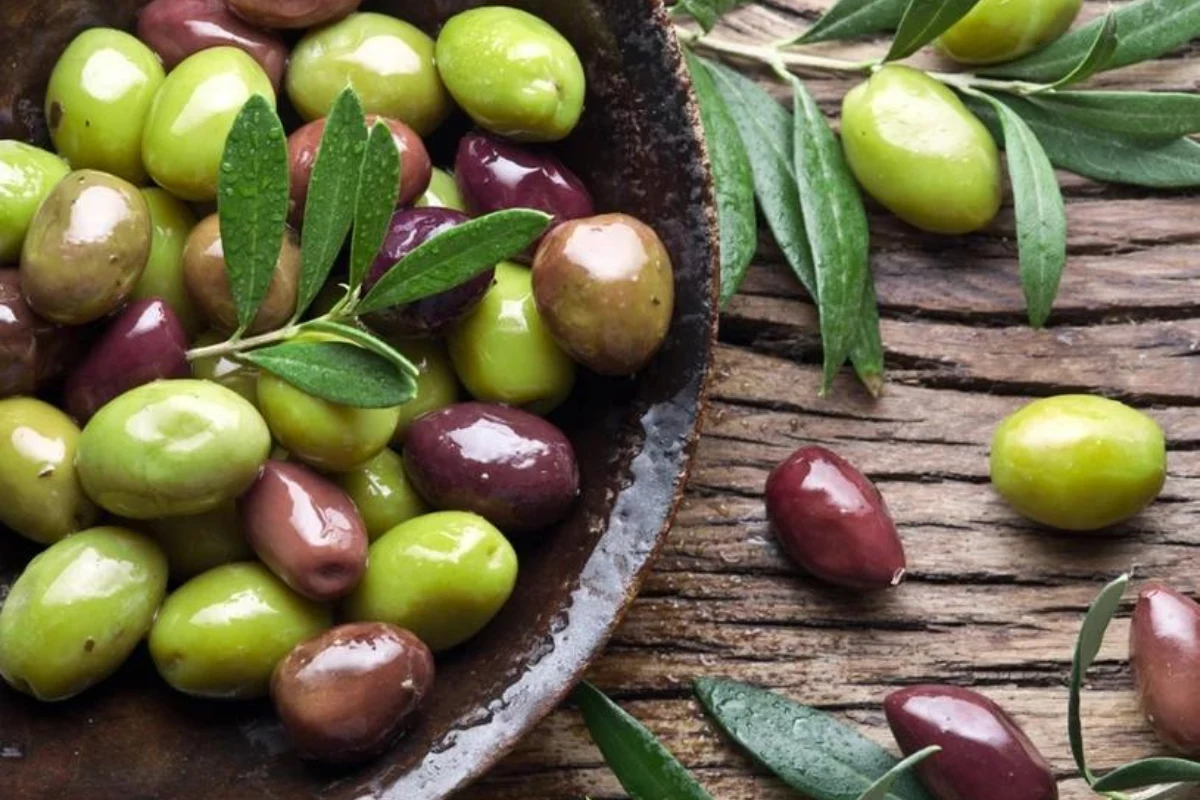 Oliwki działają przeciwzapalnie, antyoksydacyjnie i antynowotworowo