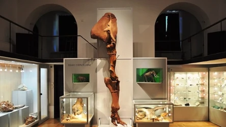 ​Tatrzańskie Archiwum Planety Ziemia zostało otworzone dla zwiedzających w 2024 roku. 