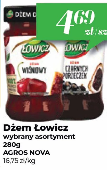 Джем Łowicz