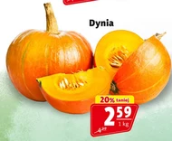 Dynia