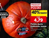 Dynia Polski