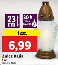 Znicz