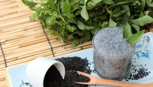 Lepsze od siemienia lnianego, w jelitach działa jak odkurzacz. Raz w tygodniu jem mój popisowy pudding z tymi nasionami