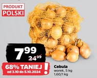 Cebula Polski