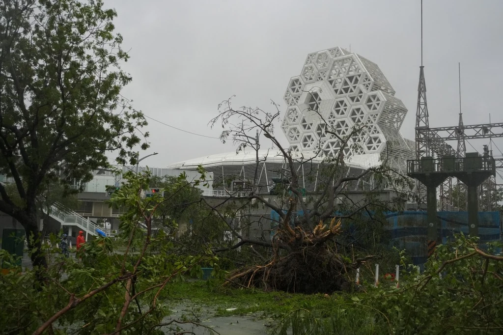 Poprzewracane drzewa w Kaohsiung na Tajwanie. To tu dotarł tajfun Krathon, który spowodował już śmierć co najmniej dwóch osób Poprzewracane drzewa w Kaohsiung na Tajwanie. To tu dotarł tajfun Krathon, który spowodował już śmierć co najmniej dwóch osób