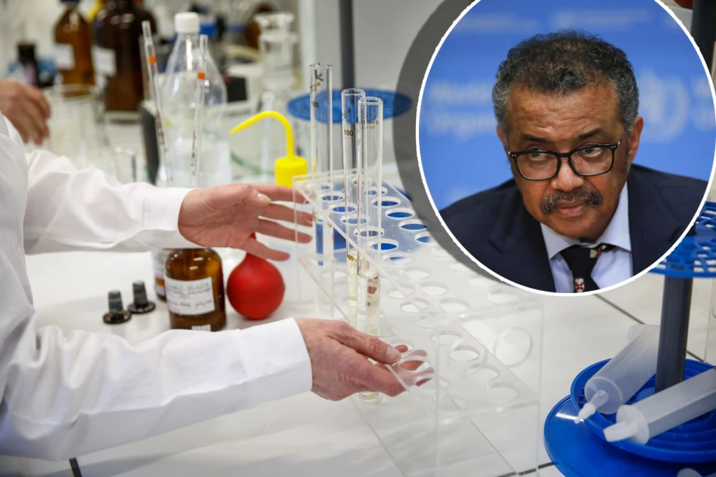 Wirus Marburg zbiera śmiertelne żniwo w Rwandzie. Szef WHO reaguje Wirus Marburg zbiera śmiertelne żniwo w Rwandzie. Szef WHO reaguje