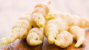 Czyściec bulwiasty jest uznawany za roślinę sprzyjającą długowieczności. Jak jego spożywanie wpływa na organizm?