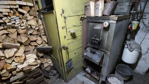 Jaki gatunek drewna zapewni najwięcej ciepła?