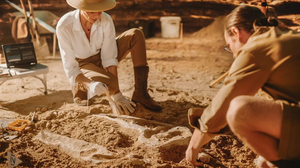 Archeolodzy współpracujący z Muzeum Odense w Danii odkryli ponad 50 grobów wikingów