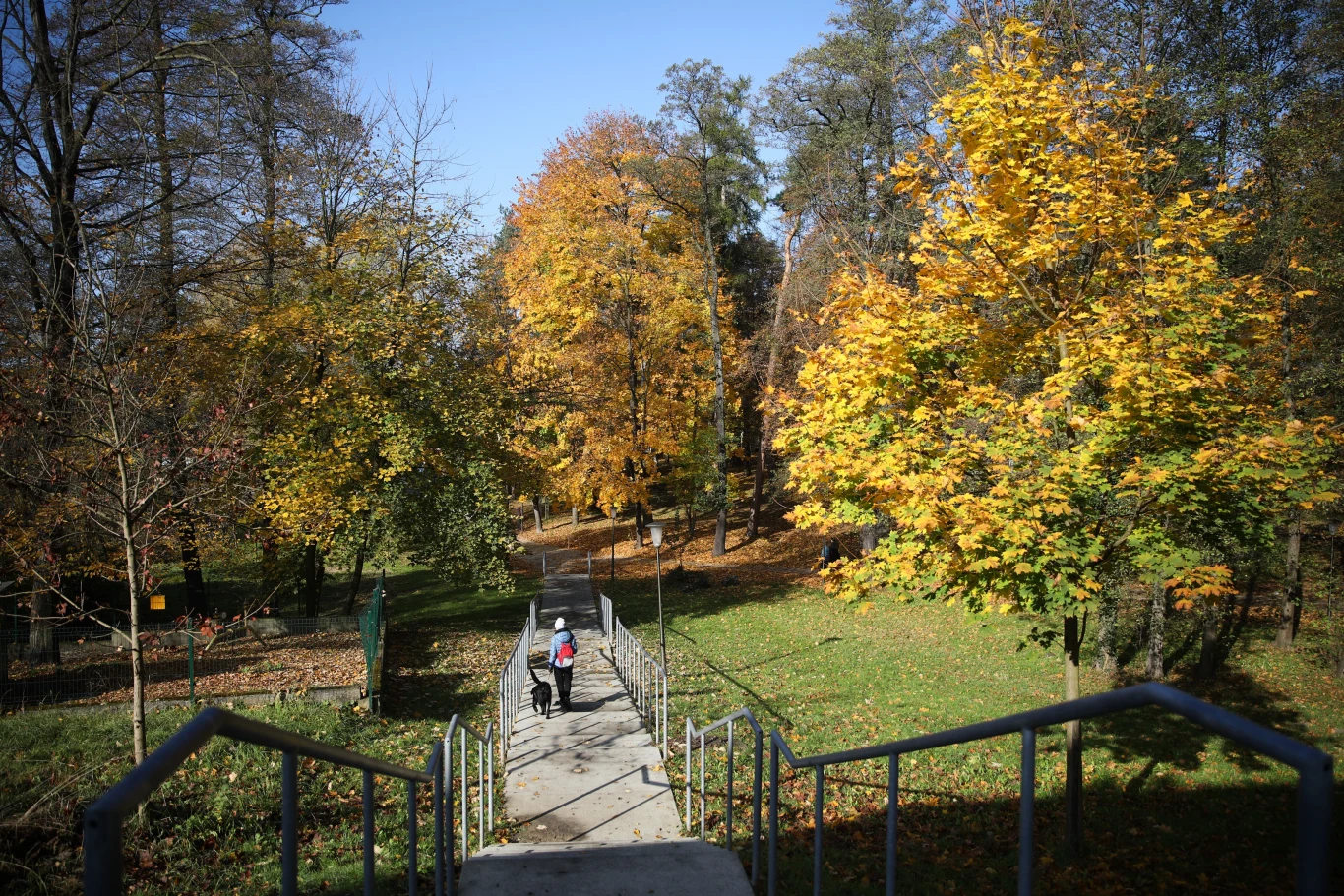 Uzdrowisko Kraków Swoszowice posiada Park Zdrojowy, który prezentuje się jesienią niezwykle malowniczo.