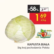 Kapusta biała