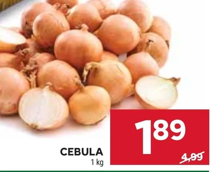 Cebula