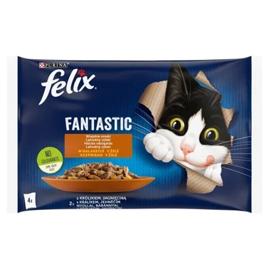 Felix Fantastic Karma dla kotów wiejskie smaki w galaretce 340 g (4 x 85 g) - 1