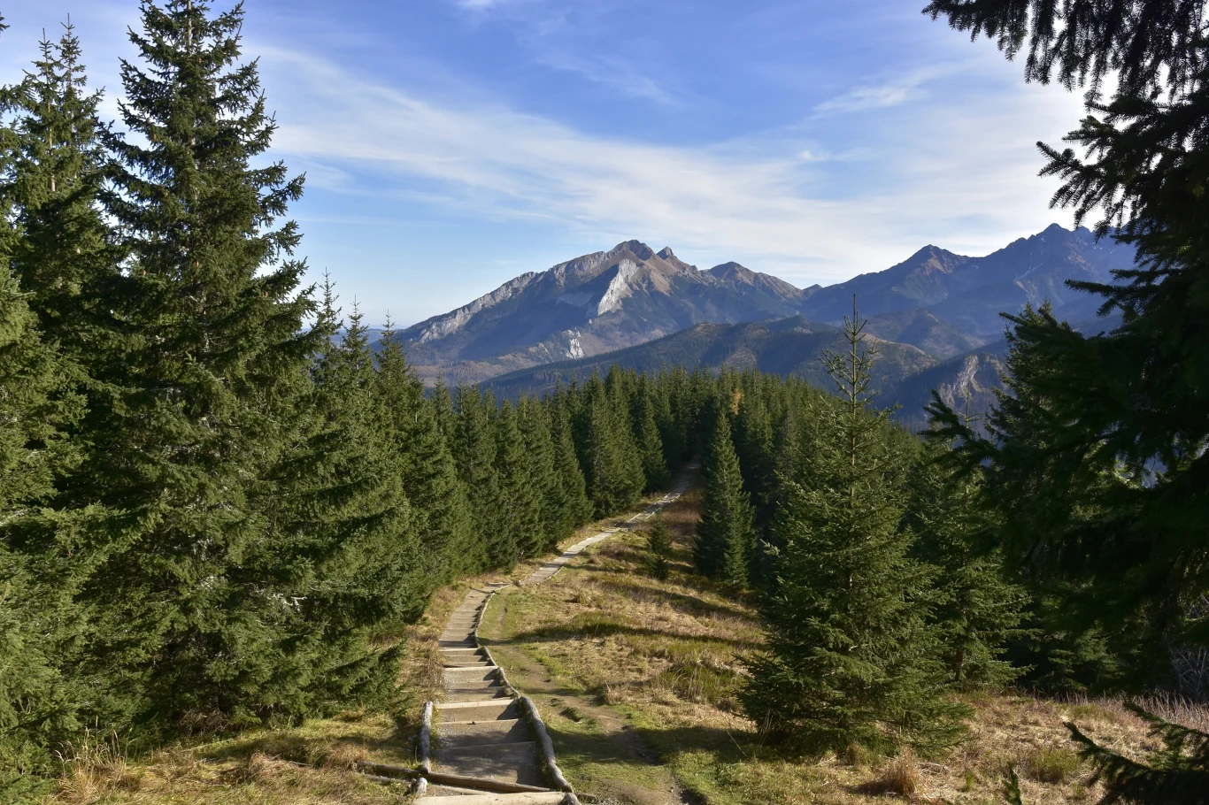 Szlak na Gęsią Szyję przez Rusinową Polanę to propozycja prostej i przy tym niezwykle widokowej wycieczki w Tatry. Szlak na Gęsią Szyję przez Rusinową Polanę to propozycja prostej i przy tym niezwykle widokowej wycieczki w Tatry.