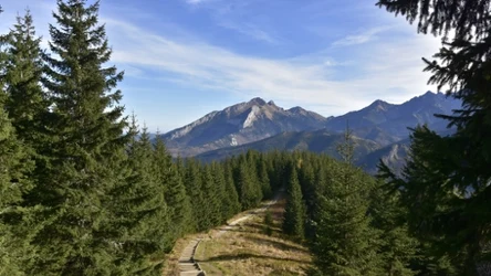 Szlak na Gęsią Szyję przez Rusinową Polanę to propozycja prostej i przy tym niezwykle widokowej wycieczki w Tatry.