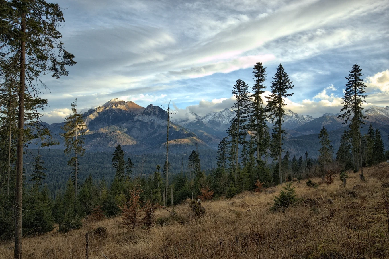Wycieczka na Rusinową Polanę i Gęsią Szyję dostarcza wiele pięknych widoków. Przez niski stopień trudności polecana jest również dla rodzin z dziećmi. Wycieczka na Rusinową Polanę i Gęsią Szyję dostarcza wiele pięknych widoków. Przez niski stopień trudności polecana jest również dla rodzin z dziećmi.