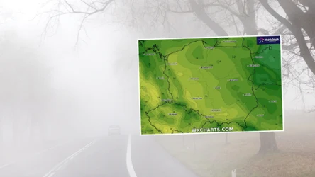 Rano w poniedziałek gęste mgły mogą się utrzymywać szczególnie na południowym zachodzie Polski