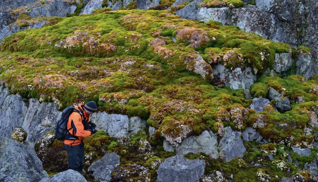 Naukowcy badający rozwój roślinności na Antarktydzie