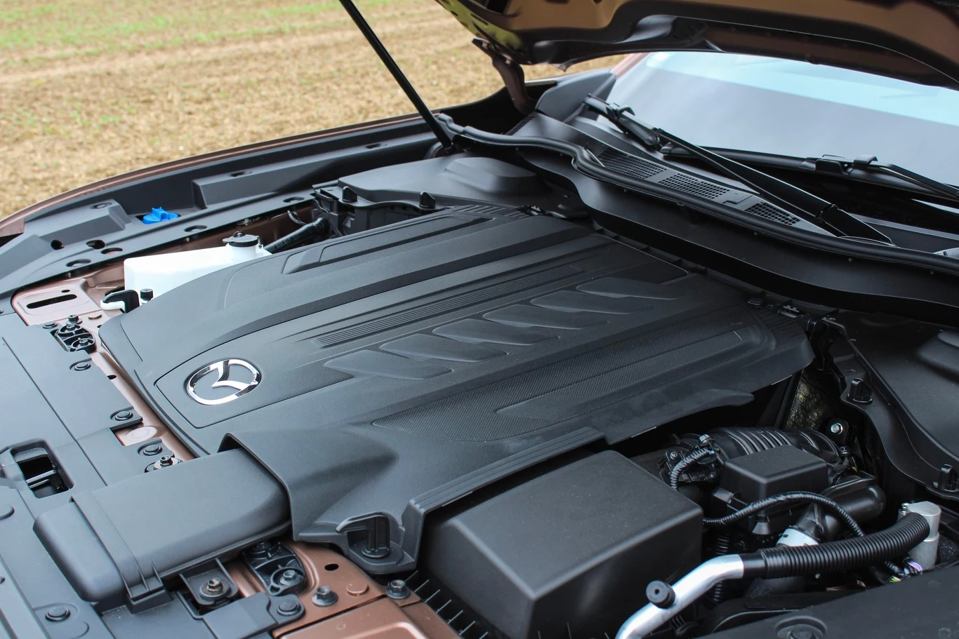 Według prognoz wersja z silnikiem Diesla będzie cieszyła się największym powodzeniem wśród klientów.