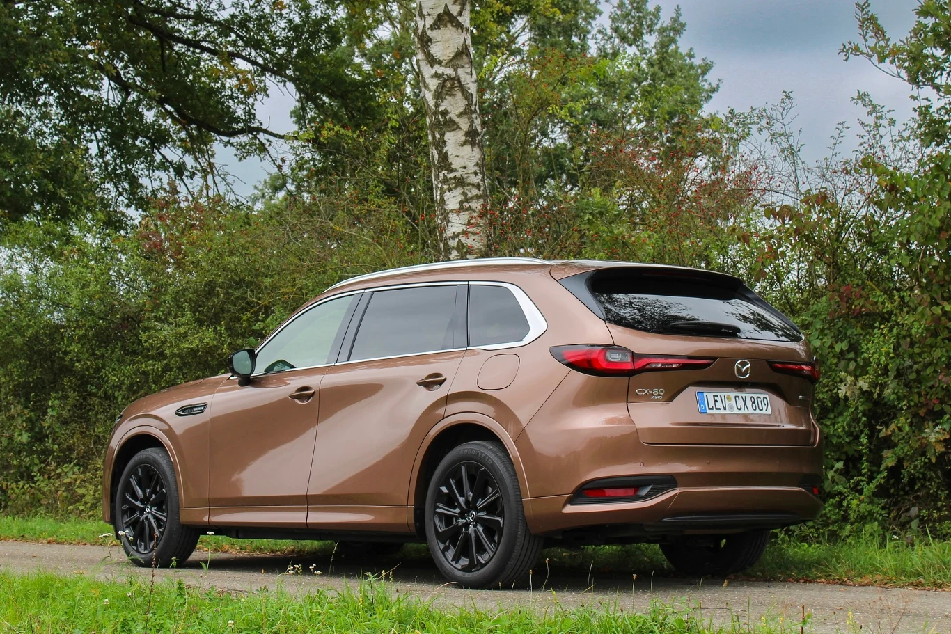 Podczas płynnej jazdy pozamiejskiej potężny pięciometrowy SUV z dieslem pod maską zużywał poniżej 6 l/100 km.