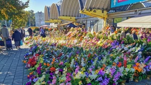 Pogoda na Dzień Wszystkich Świętych i Zaduszki może się okazać łaskawa. Na północy w tym czasie może być cieplej niż zazwyczaj. Na zdjęciu sprzedaż kwiatów przed cmentarzem w Łodzi