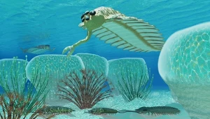 Kambryjska eksplozja życia