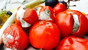 Nie wyrzucaj spleśniałych pomidorów. Wykorzystasz je w ten sposób 