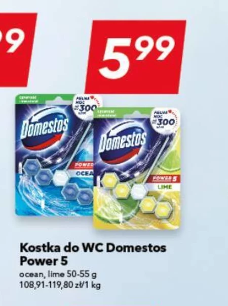 Туалетний куб Domestos