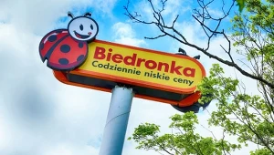 Hit do ogrodu i na działkę! Sprawdź, gdzie znajdziesz najlepsze jesienne promocje!