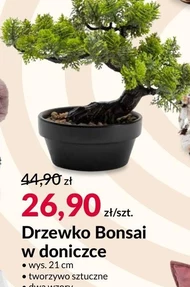 Drzewko bonsai