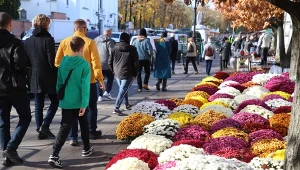 Polacy nie będą zadowoleni. Symbol Wszystkich Świętych drastycznie podrożeje