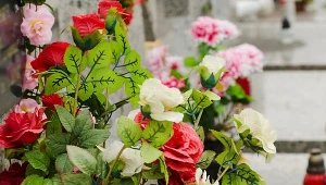 Chcesz, by kwiaty na Wszystkich Świętych przetrwały aż do wiosny? Posmaruj je tym